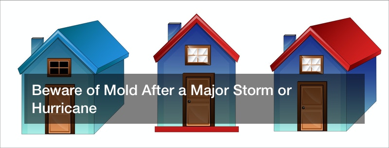 Beware of Mold After a Major Storm or Hurricane