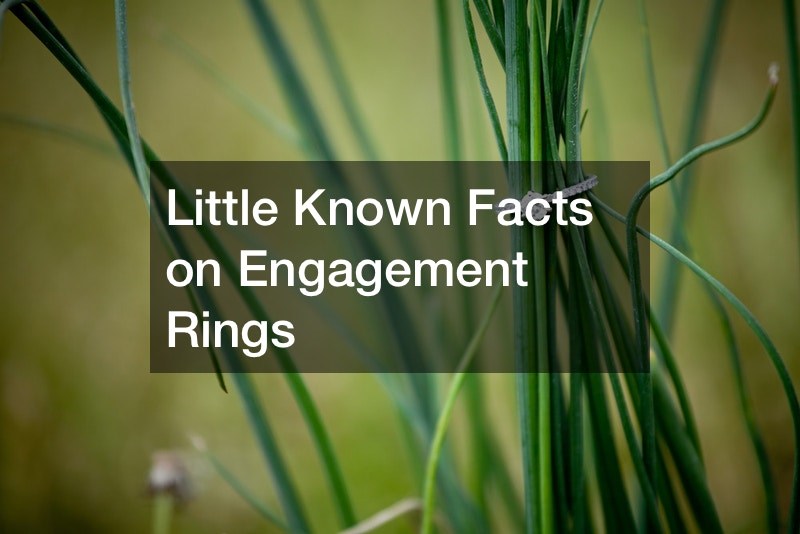 Little Known Facts on Engagement Rings
