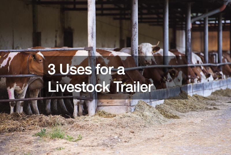 3 Uses for a Livestock Trailer